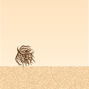 Leh Tumbleweed - Guest