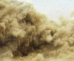 Common Field Dust - Guest