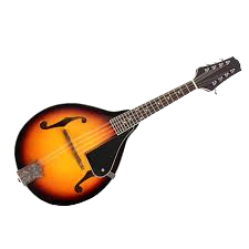 Mandolin - Guest